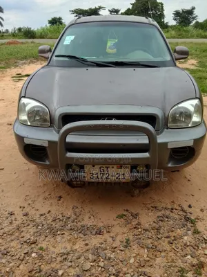 Hyundai Santa Fe 2005 Brown