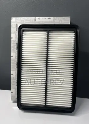 Nissan Rogue/Qashqai Air Filter || 16546