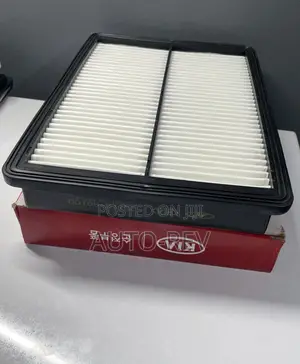 Hyundai Santa Fe/Palisade Air Filter || 28113-A9100