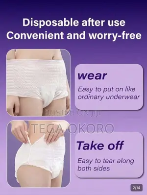 Disposable Period Underwear