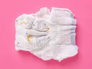 Disposable Period Underwear