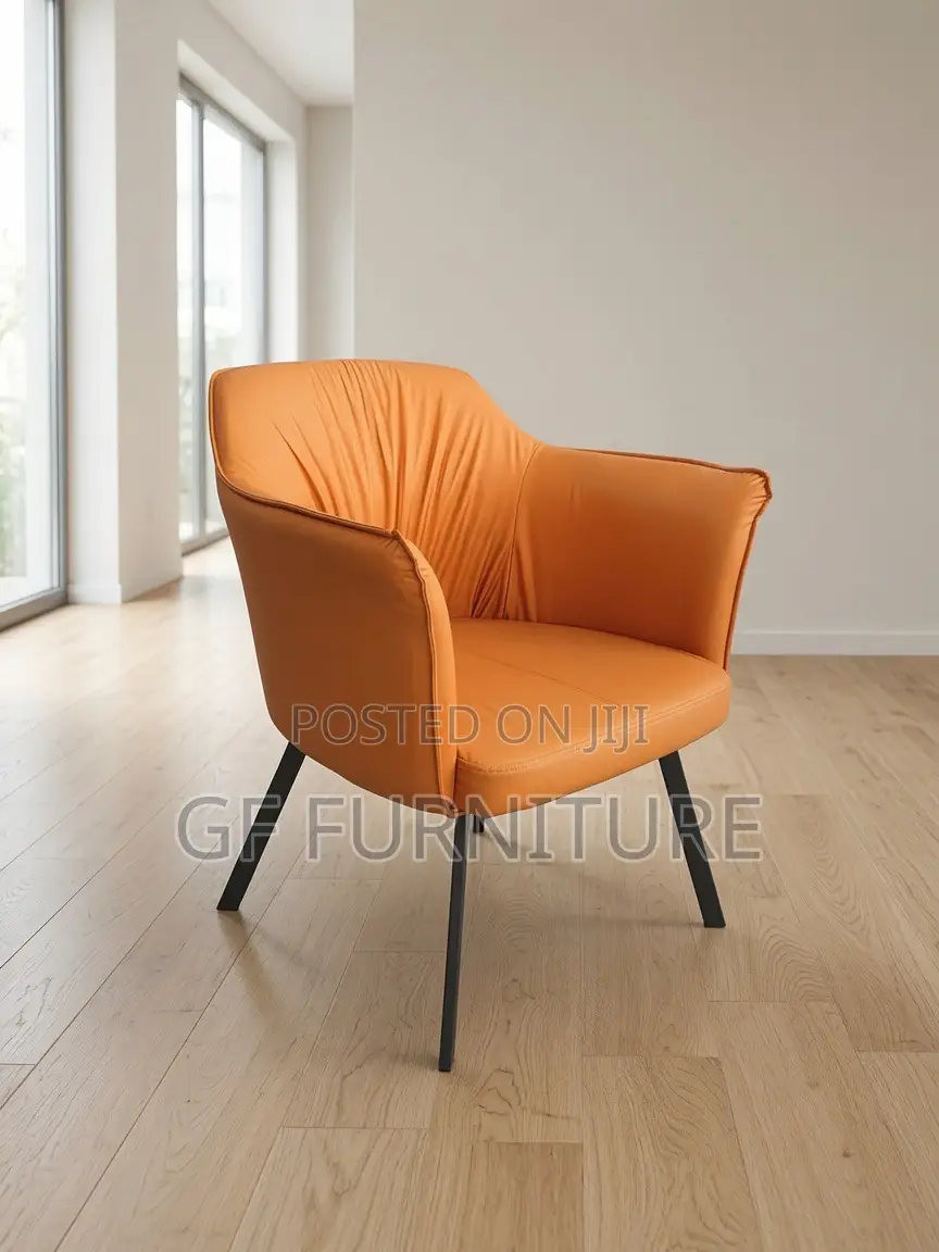 Accent Chair/Balcony Chairs/Offices Chair