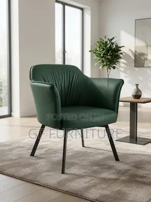 Accent Chair/Balcony Chairs/Offices Chair