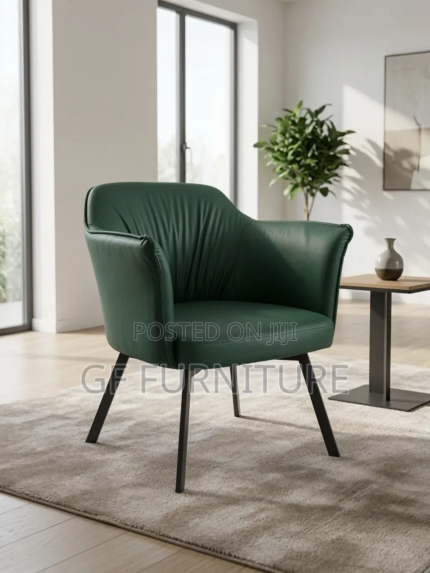 Accent Chair/Balcony Chairs/Offices Chair