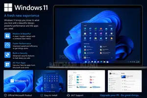 Windows 11