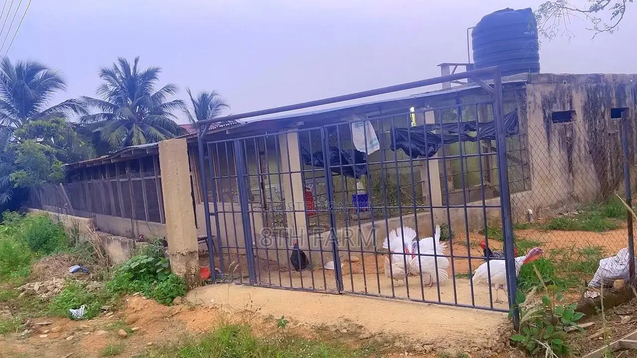 Poultry Farm Pens Available for Rent