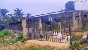 Poultry Farm Pens Available for Rent