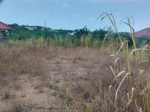 Walled Land in Esipon. For Sale