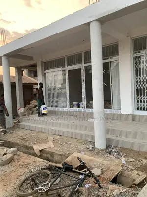 Swing Doors