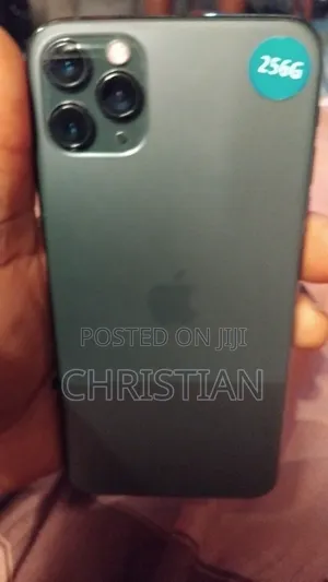 Apple iPhone 11 Pro Max 256 GB Gray