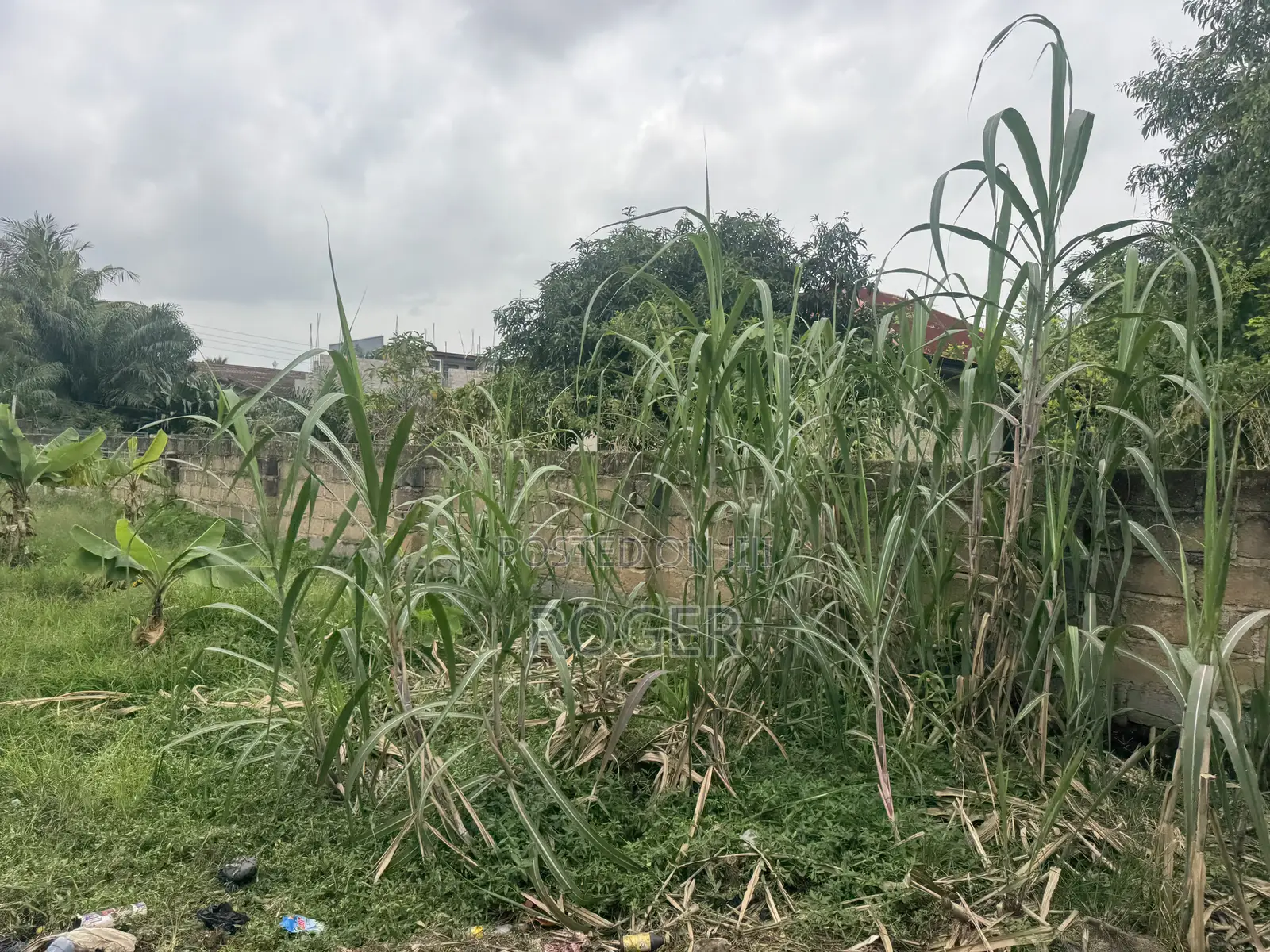 1 Plot for Sale at Oyarifa Near Special Ice