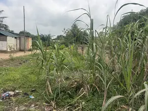 1 Plot for Sale at Oyarifa Near Special Ice