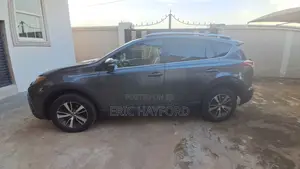 Toyota RAV4 XLE AWD (2.5L 4cyl 6A) 2017 Gray