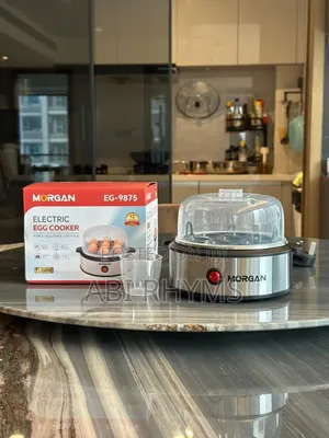 Electric Egg Boiler