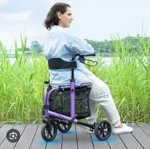 Walk Mate 3- Wheel Walker With Seat.