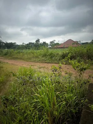 Full Plot for Sale at Asonomaso Nkwanta SAFO