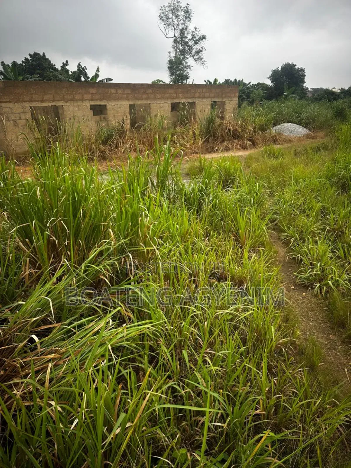 Full Plot for Sale at Asonomaso Nkwanta SAFO