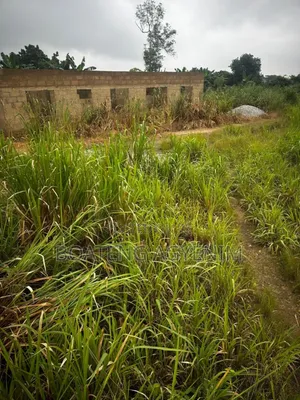 Full Plot for Sale at Asonomaso Nkwanta SAFO