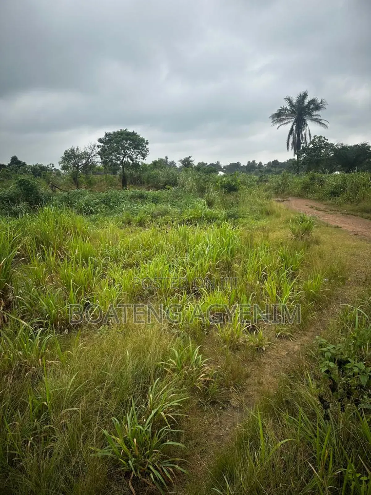 Two Plots of Land for Sale at Asonomaso Nkwanta SAFO
