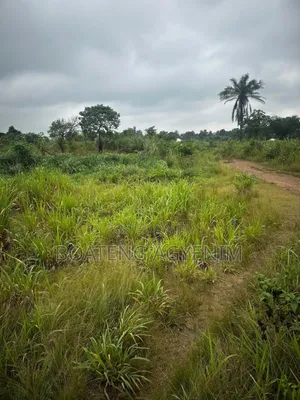 Two Plots of Land for Sale at Asonomaso Nkwanta SAFO