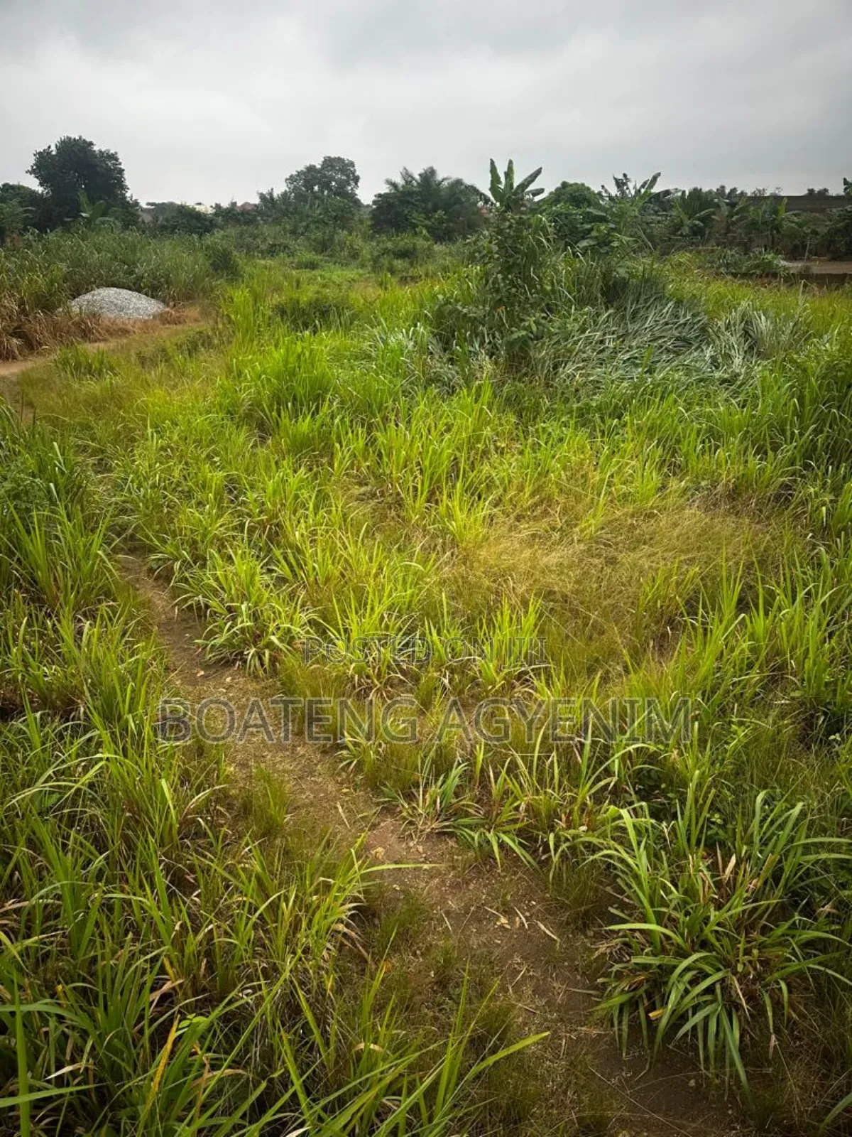 Two Plots of Land for Sale at Asonomaso Nkwanta SAFO