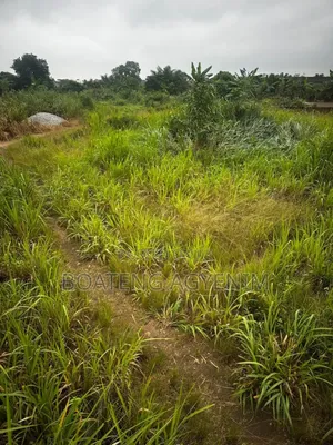 Two Plots of Land for Sale at Asonomaso Nkwanta SAFO