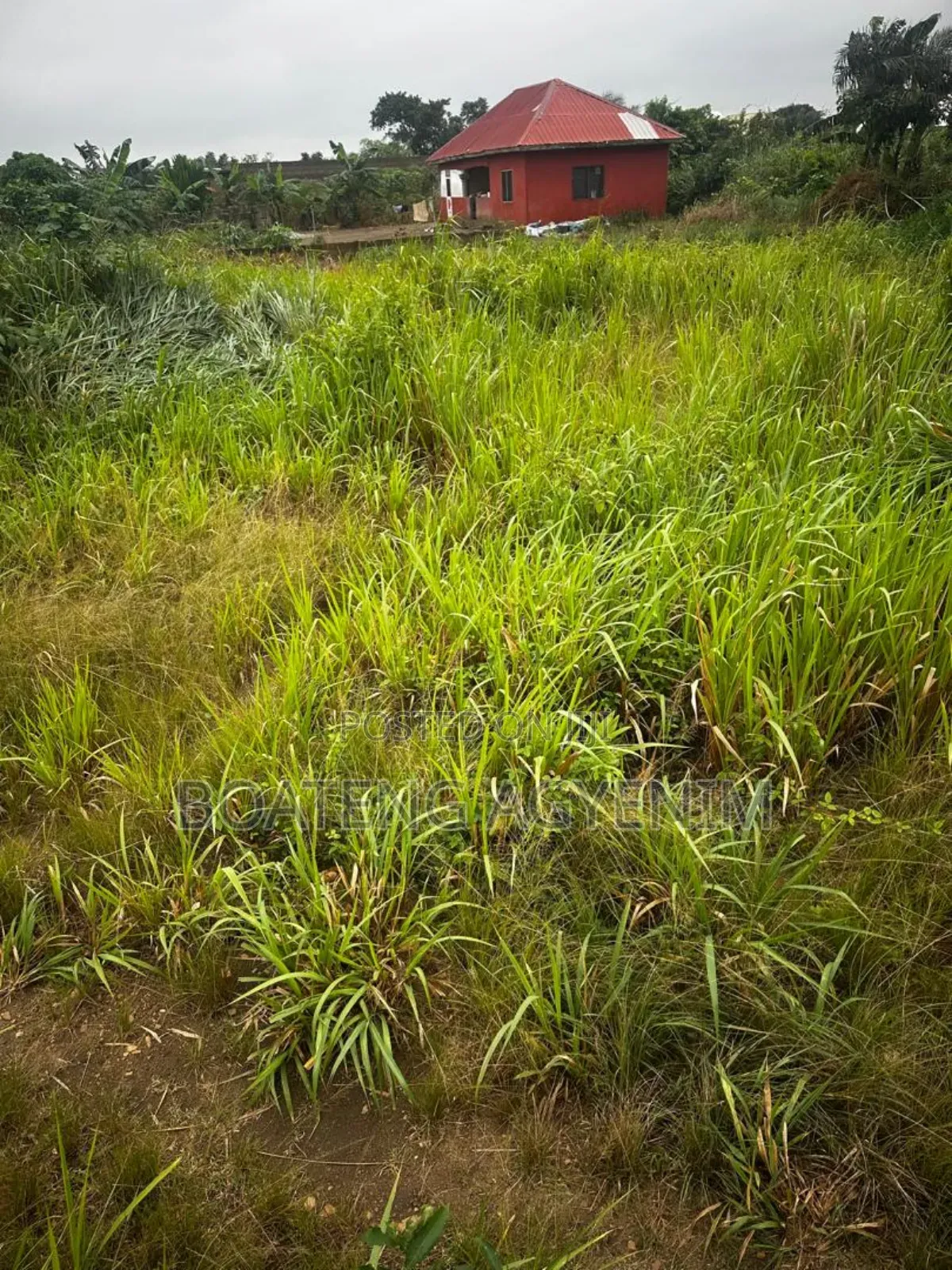 Two Plots of Land for Sale at Asonomaso Nkwanta SAFO