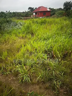 Two Plots of Land for Sale at Asonomaso Nkwanta SAFO