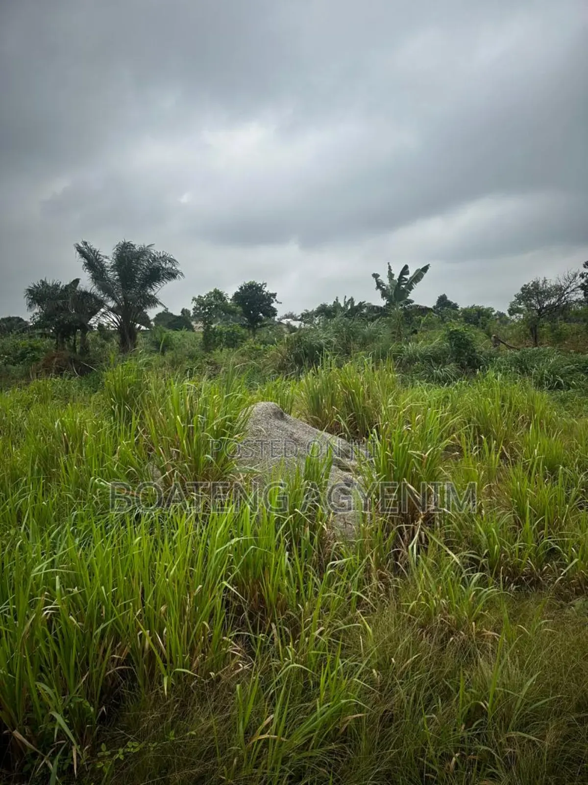 Two Plots of Land for Sale at Asonomaso Nkwanta SAFO