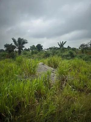 Two Plots of Land for Sale at Asonomaso Nkwanta SAFO
