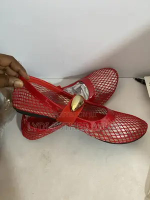 Ballerina Classy Shoes