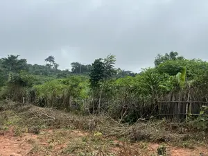 3 Acres / 15 Plot of Land for Sale at Koforidua