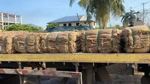 1 Time Used Jute Sacks