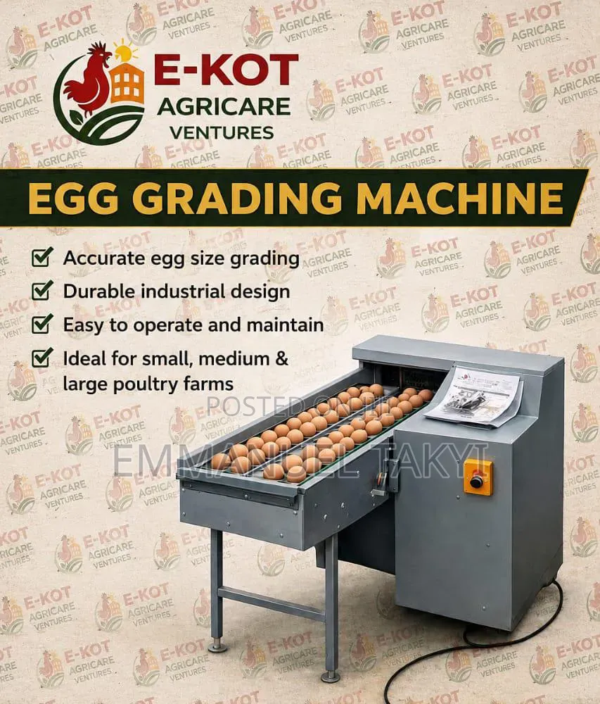 Egg Grading Machine