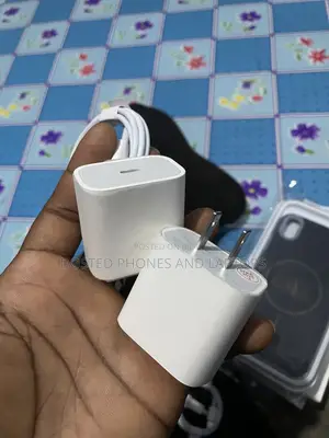 2 Pin Original iPhone Charger