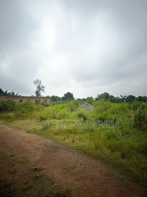 Half Plot for Sale at Asonomaso Nkwanta SAFO