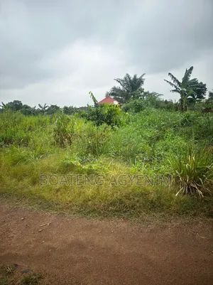 Half Plot for Sale at Asonomaso Nkwanta SAFO