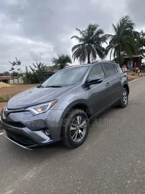 Toyota RAV4 XLE 4dr SUV AWD (2.5L 4cyl 6A) 2018 Gray
