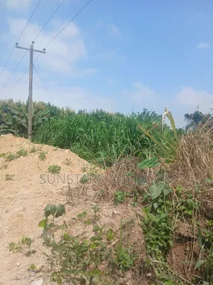 Roadside Land in Hohoe