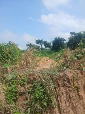 Roadside Land in Hohoe