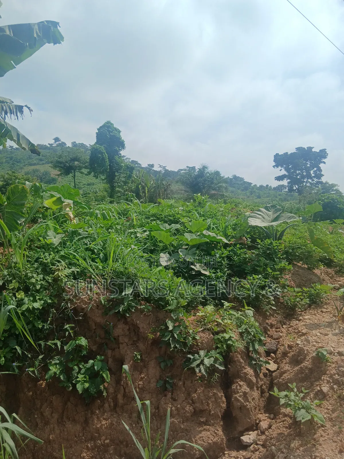Roadside Land in Hohoe