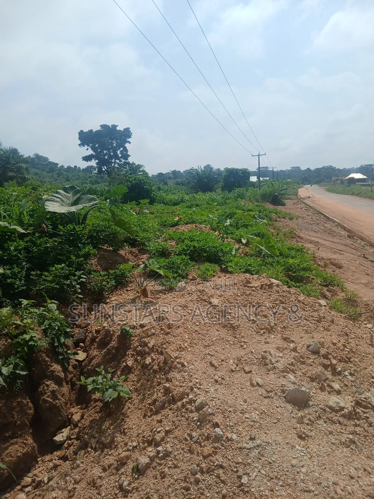 Roadside Land in Hohoe