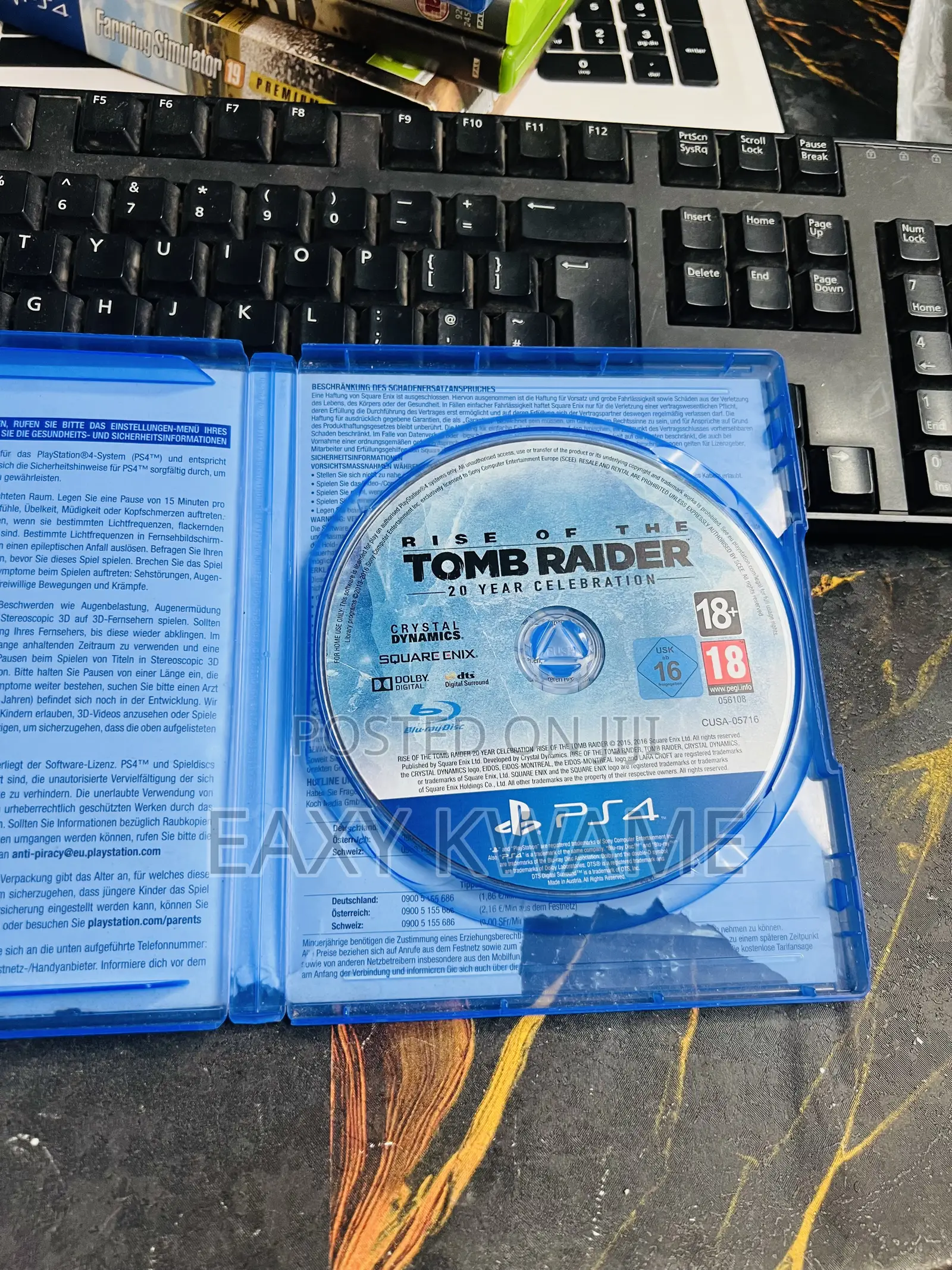 The Rise of the Tomb Raider