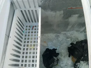 Display Chest Freezer