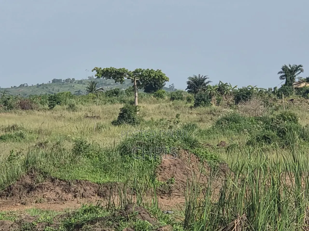 4 Plots for Sale