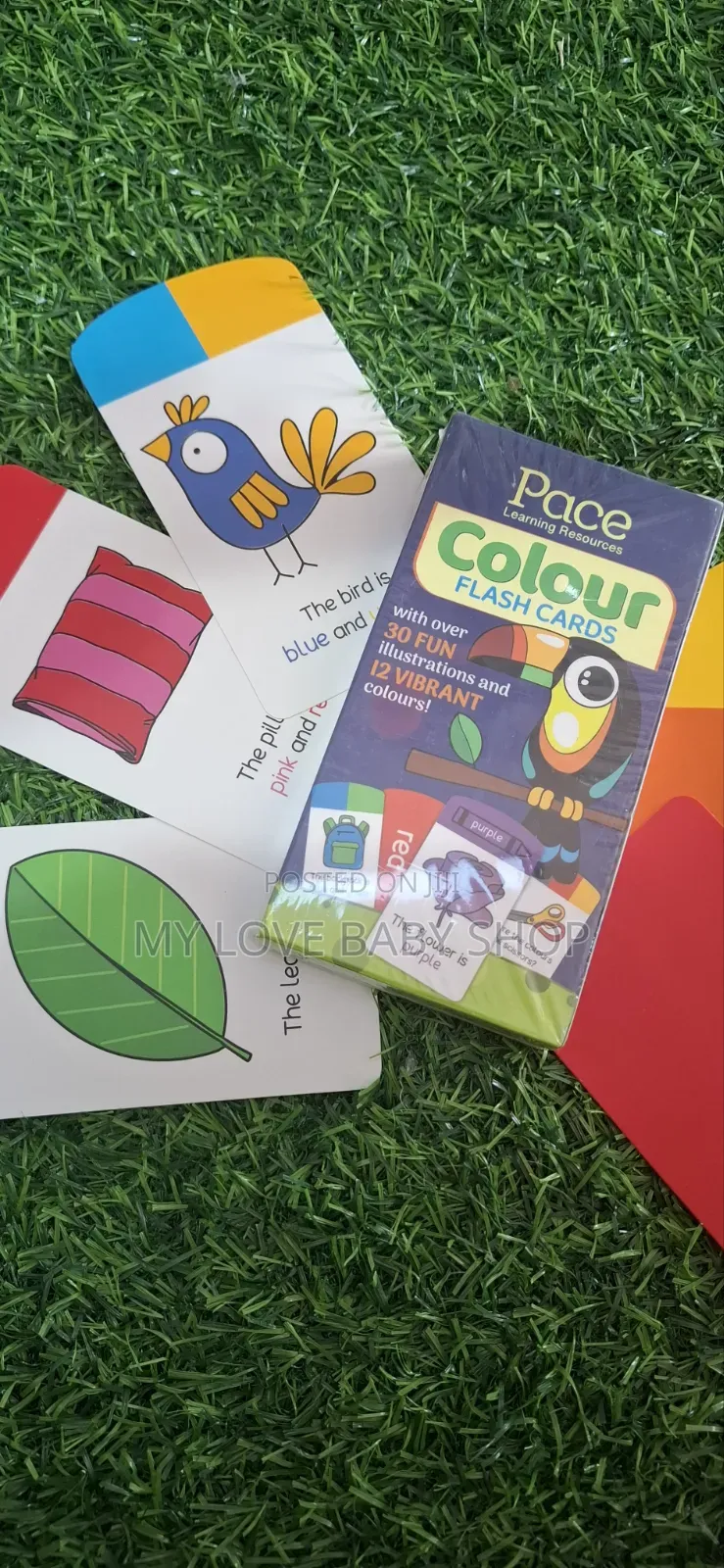 Kids Flash Cards