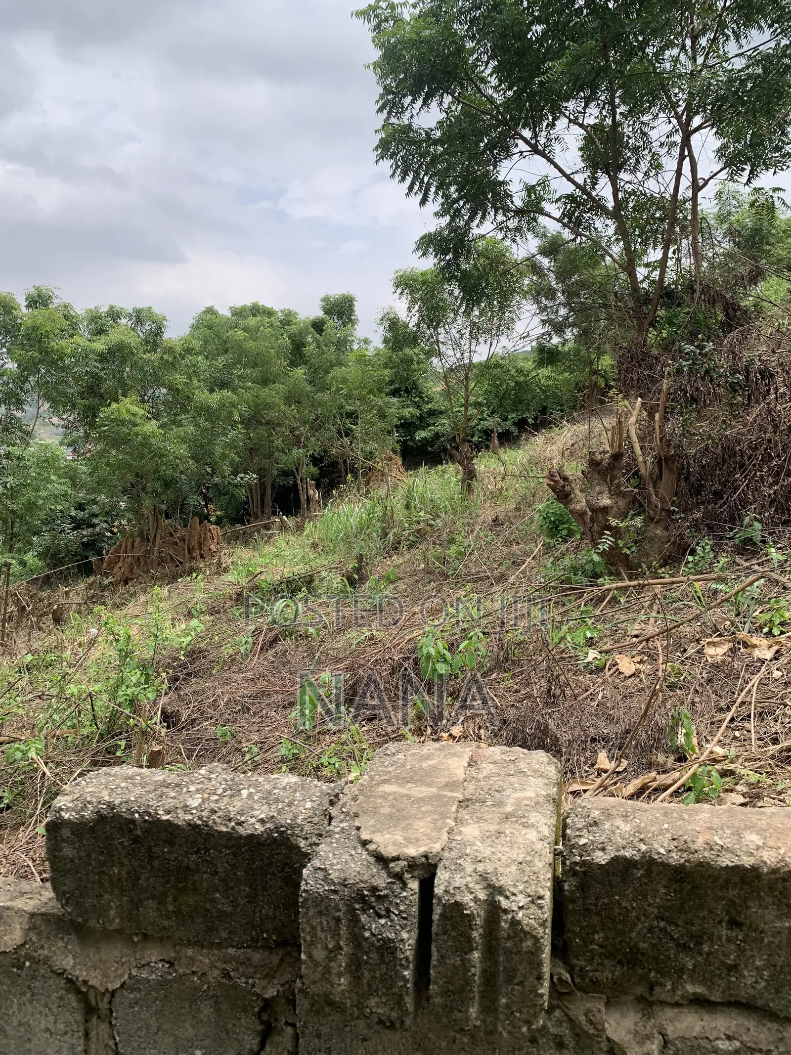 100*100 Walled Plot of Land Forsale and Sesame