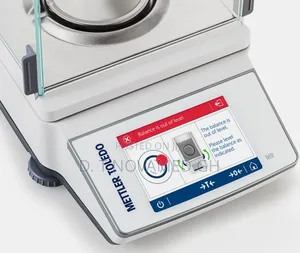 Analytical Scale (Mettler Toledo)