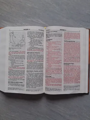 Illustrated Good News Bible With Words of Christ in Red (Medium)