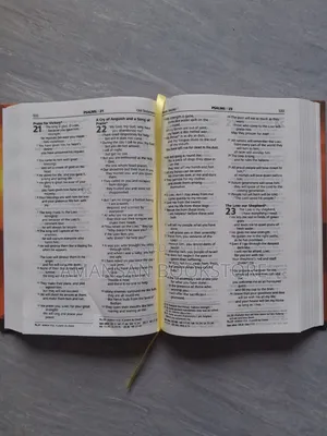 Illustrated Good News Bible With Words of Christ in Red (Medium)